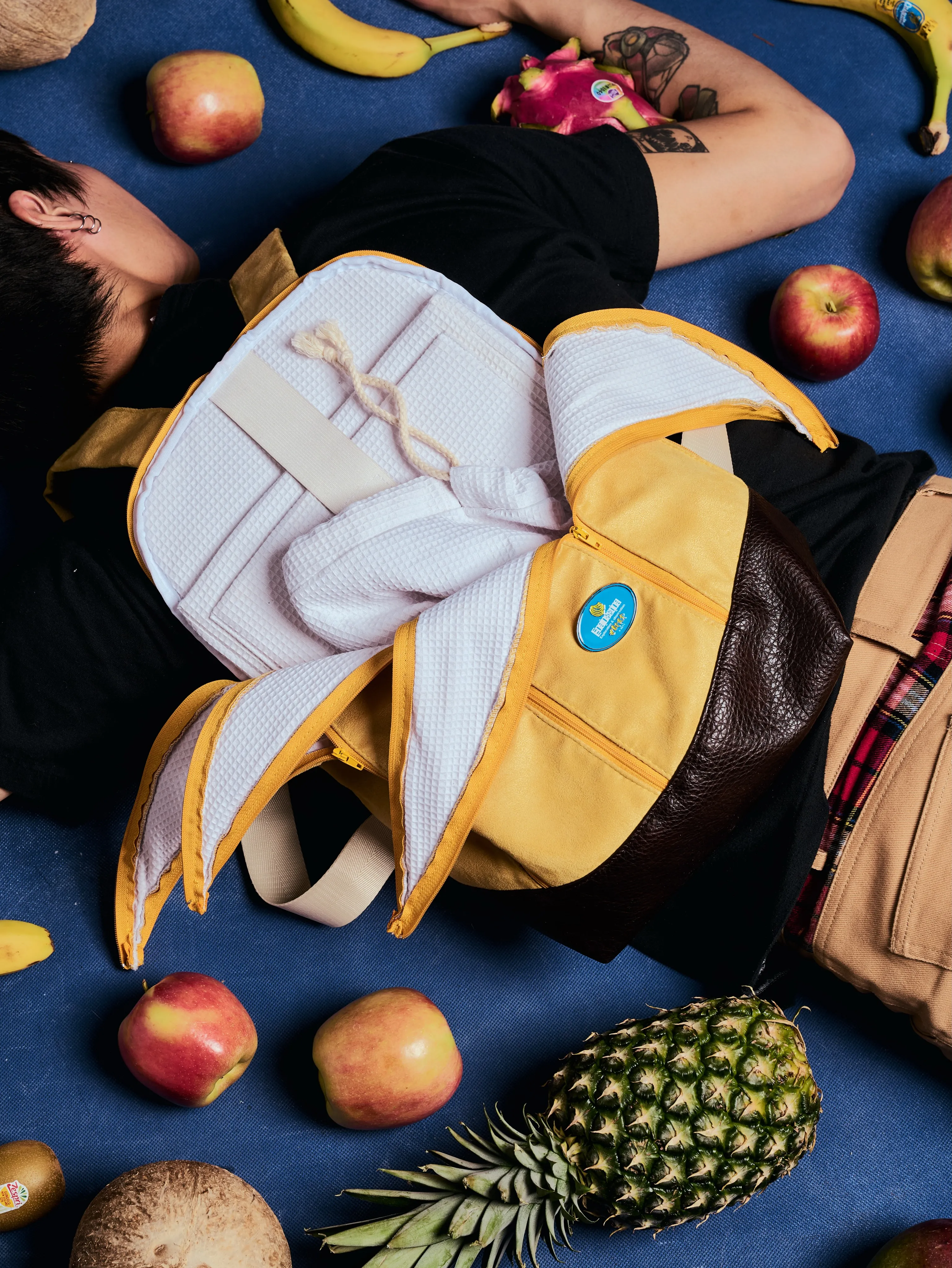 Overhead view of the Banackpack fully peeled open, showing the padded interior